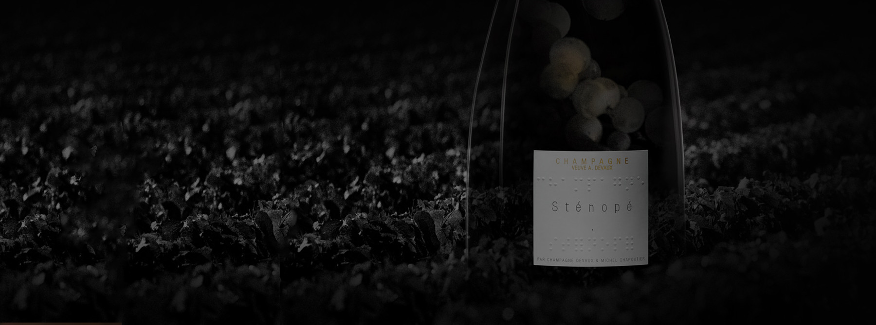 Veuve Devaux & Michel Chapoutier Stenopé Champagne