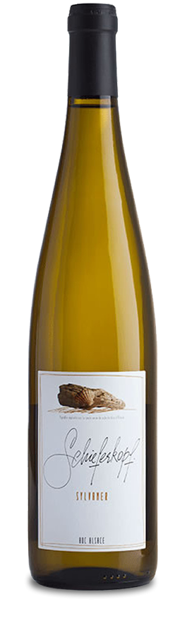 Silvaner