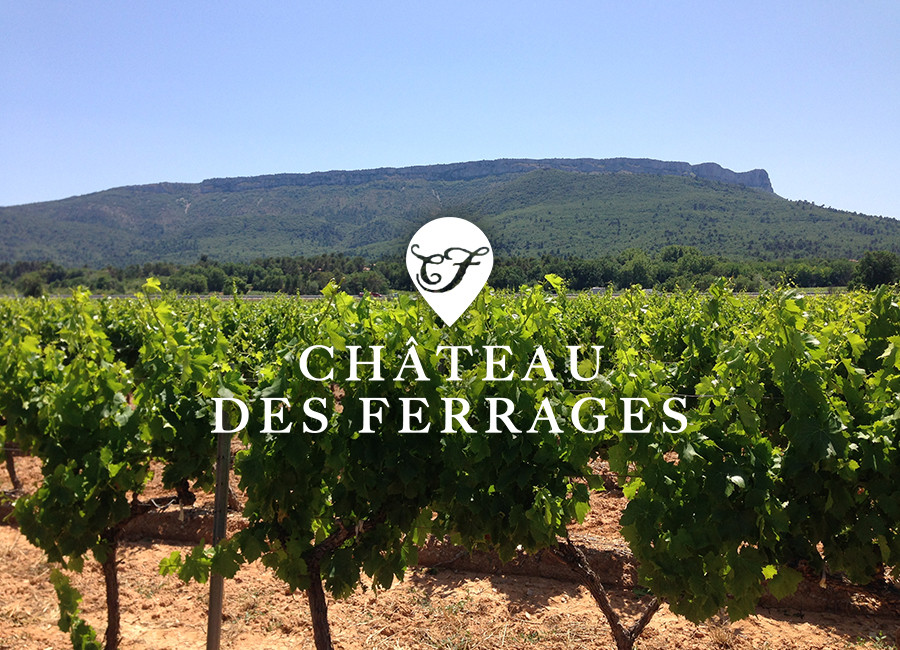 les vignes Château des Ferrages faces à la montagne Saint Victoire